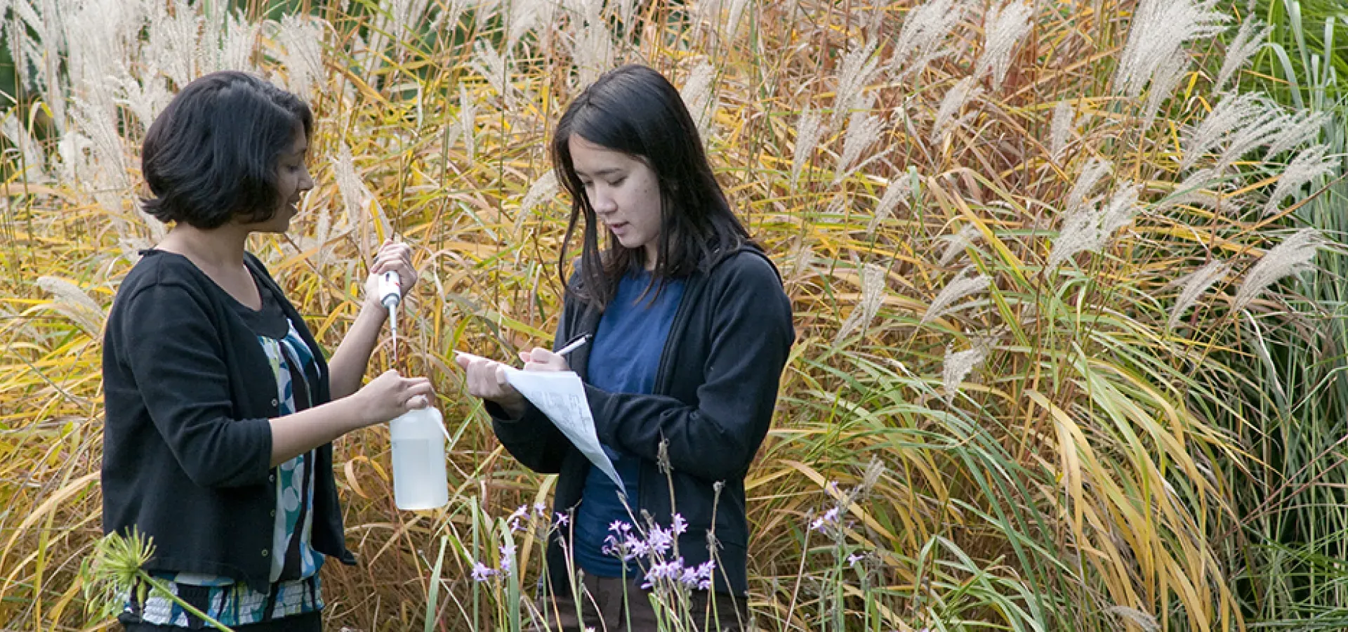Two Smith 学生 st和 in tall grass 和 take specimen samples